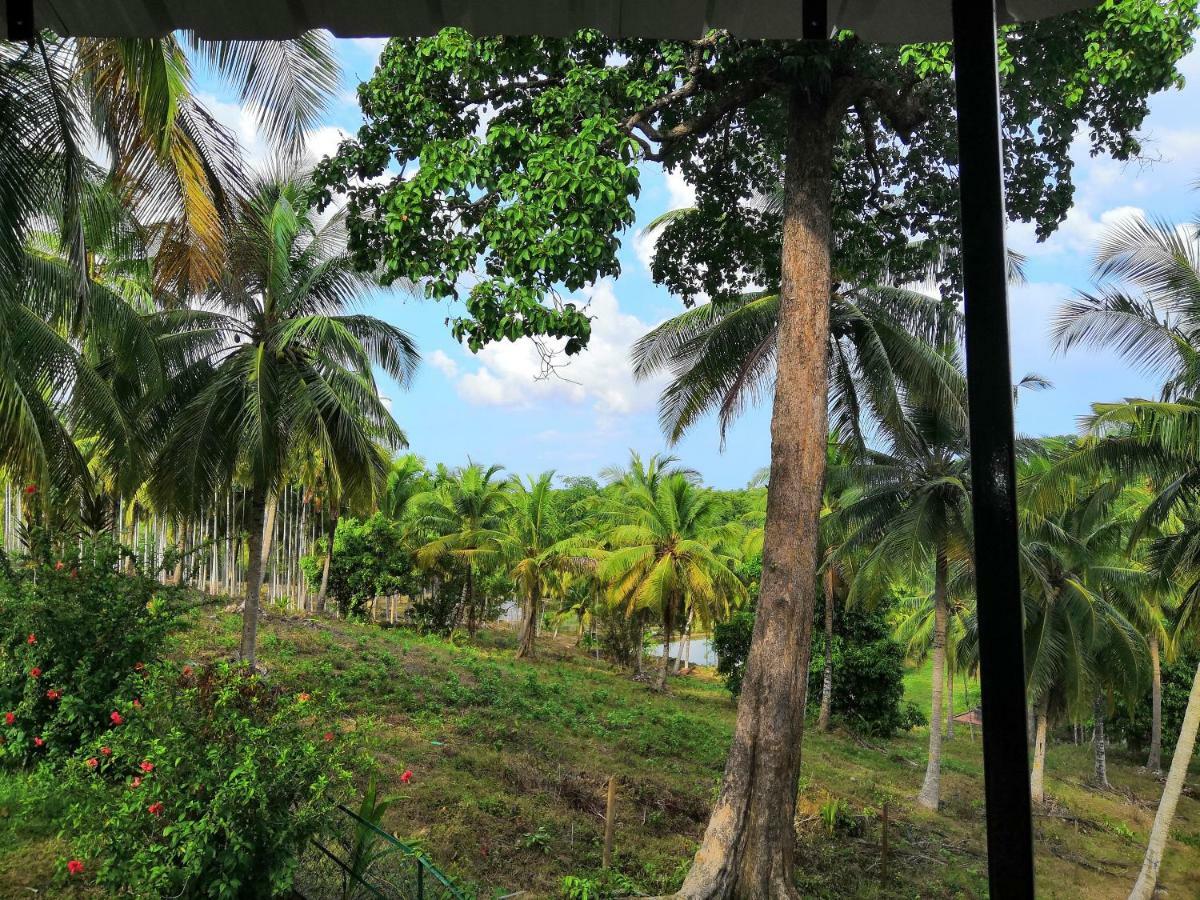 Rainforest Resort Port Blair Zewnętrze zdjęcie