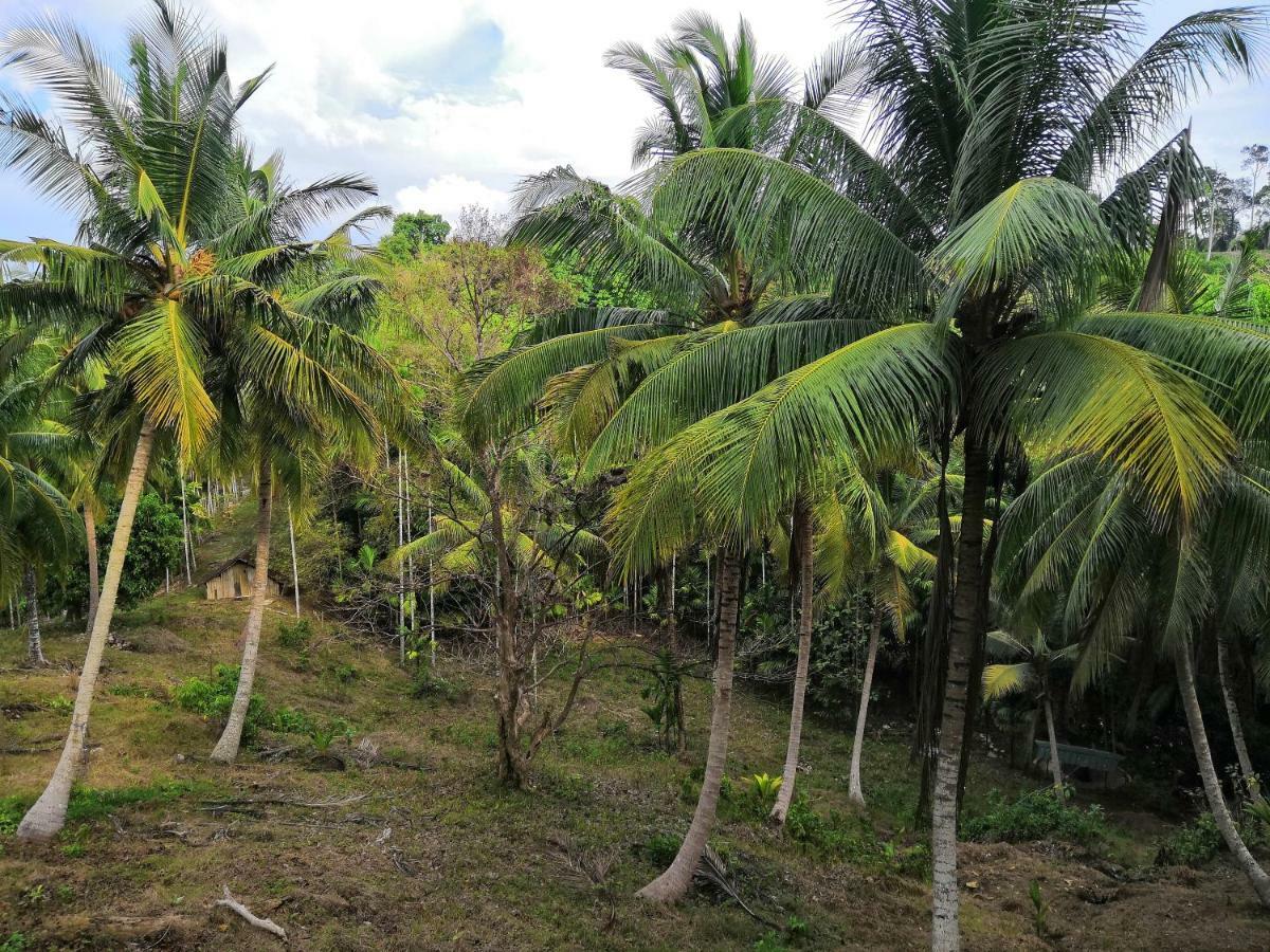 Rainforest Resort Port Blair Zewnętrze zdjęcie