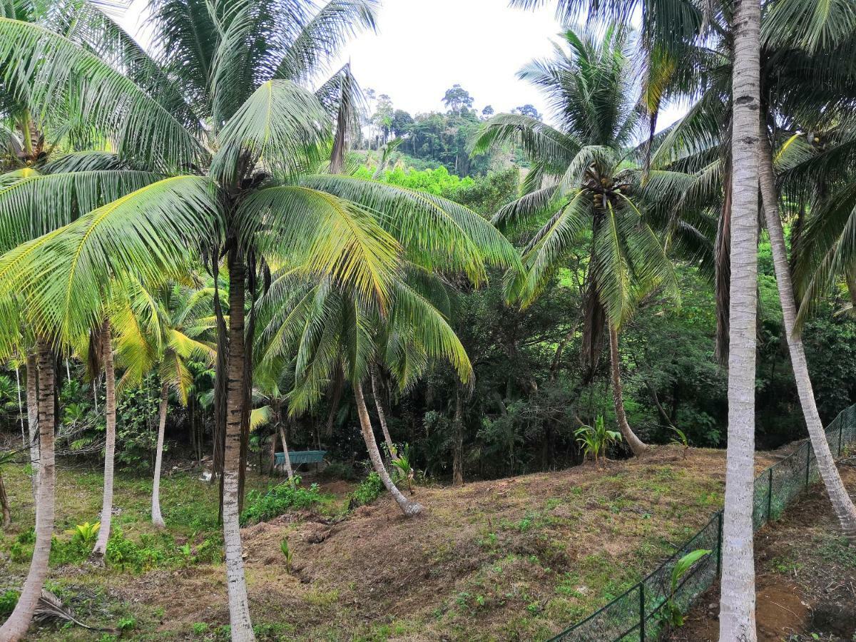 Rainforest Resort Port Blair Zewnętrze zdjęcie